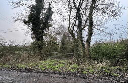 Land At, Carbet Road 4 of 6
