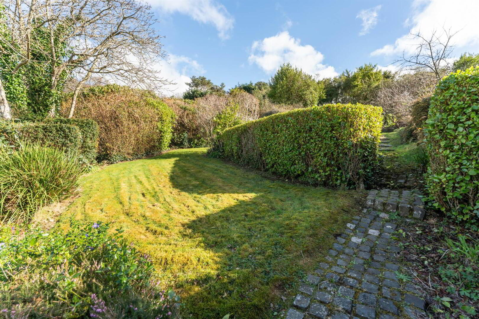 10 Carlston Avenue 24 of 31
