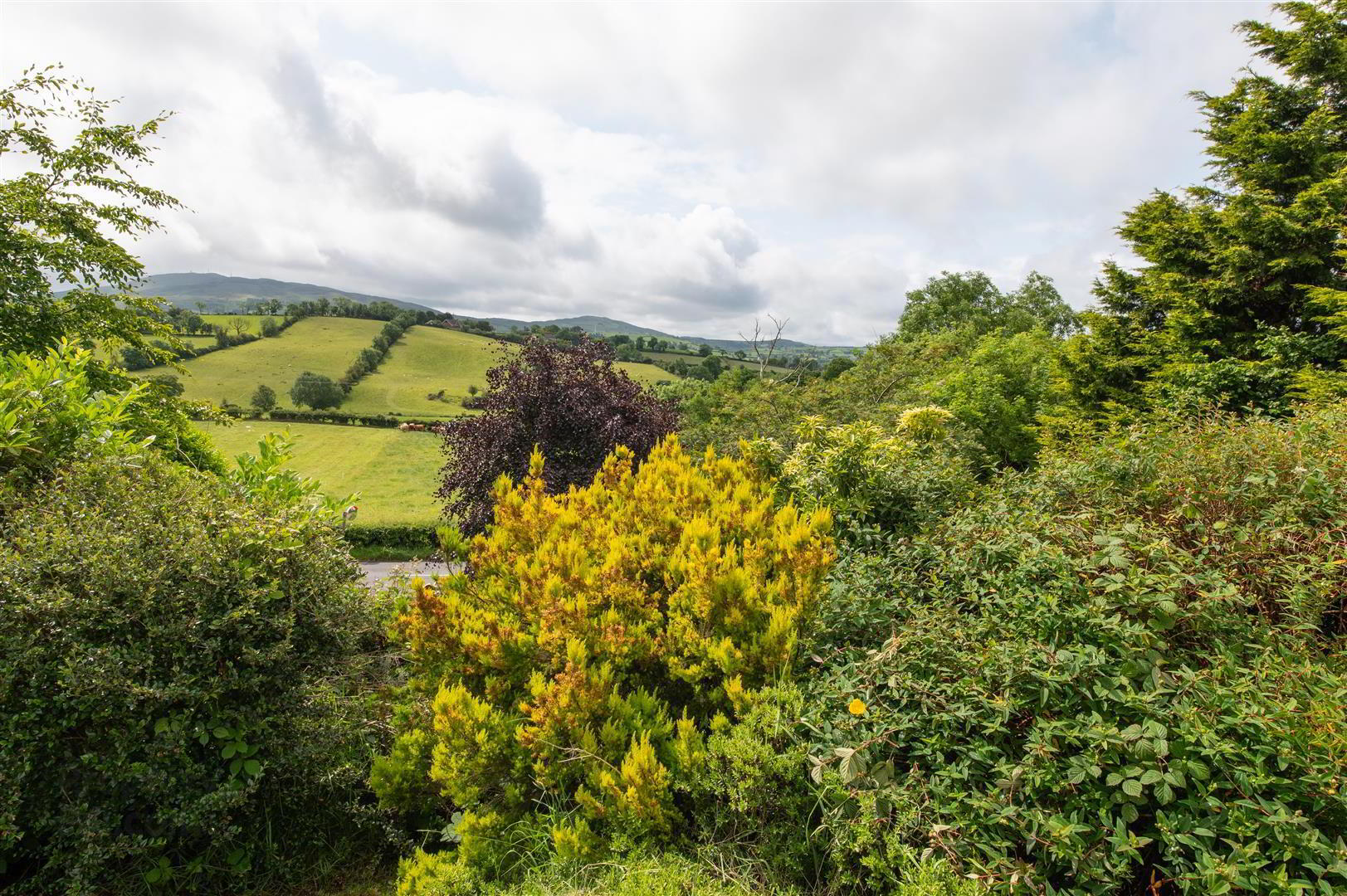 24 Ballynahinch Road 22 of 25