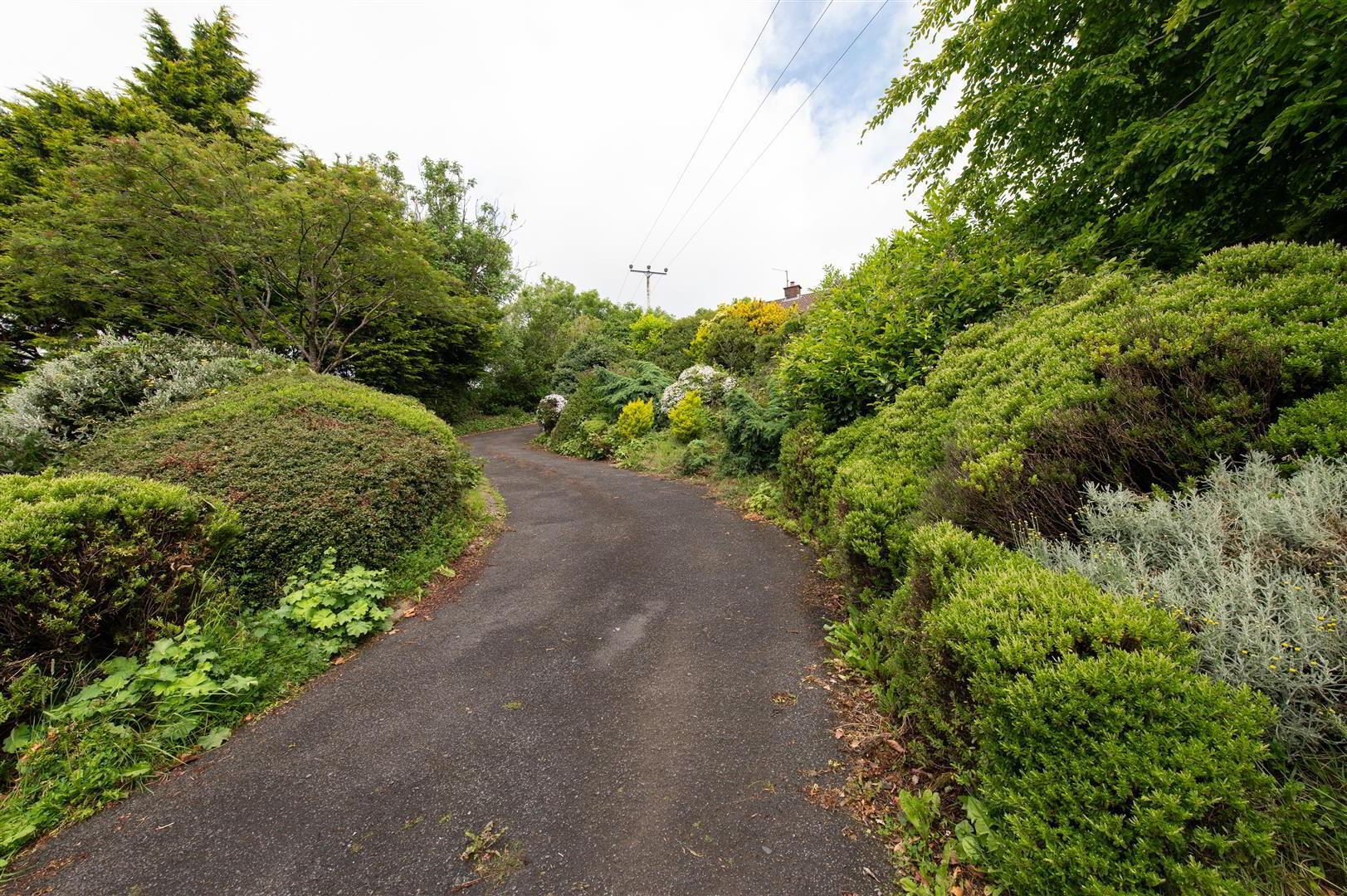 24 Ballynahinch Road 18 of 25