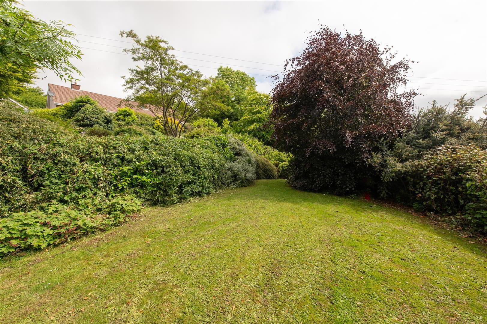 24 Ballynahinch Road 24 of 25