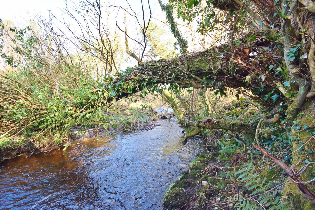 Knockaunbrack 30 of 36