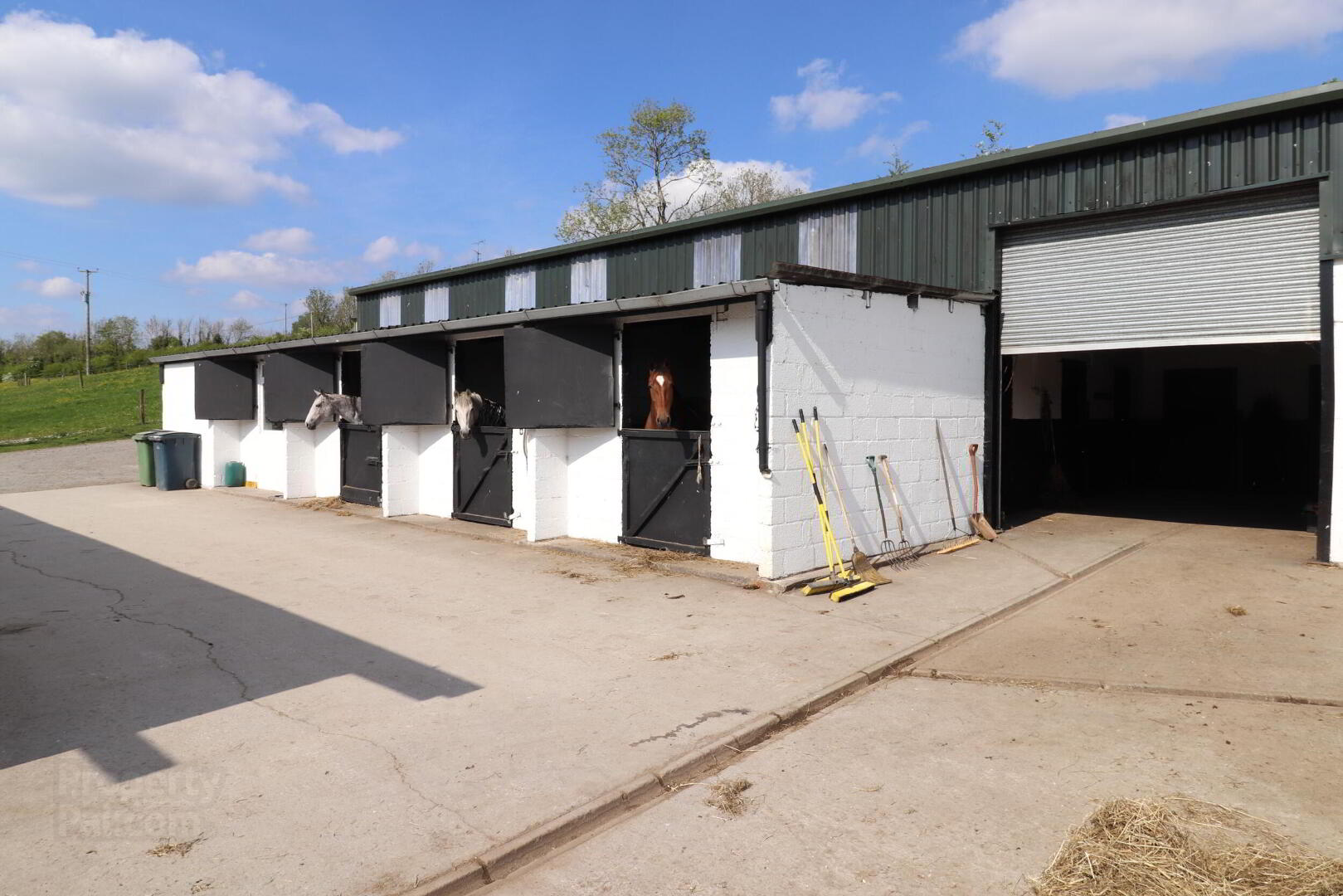 C.10 Ac & 27 Stables, Drumralla Stables 42 of 49