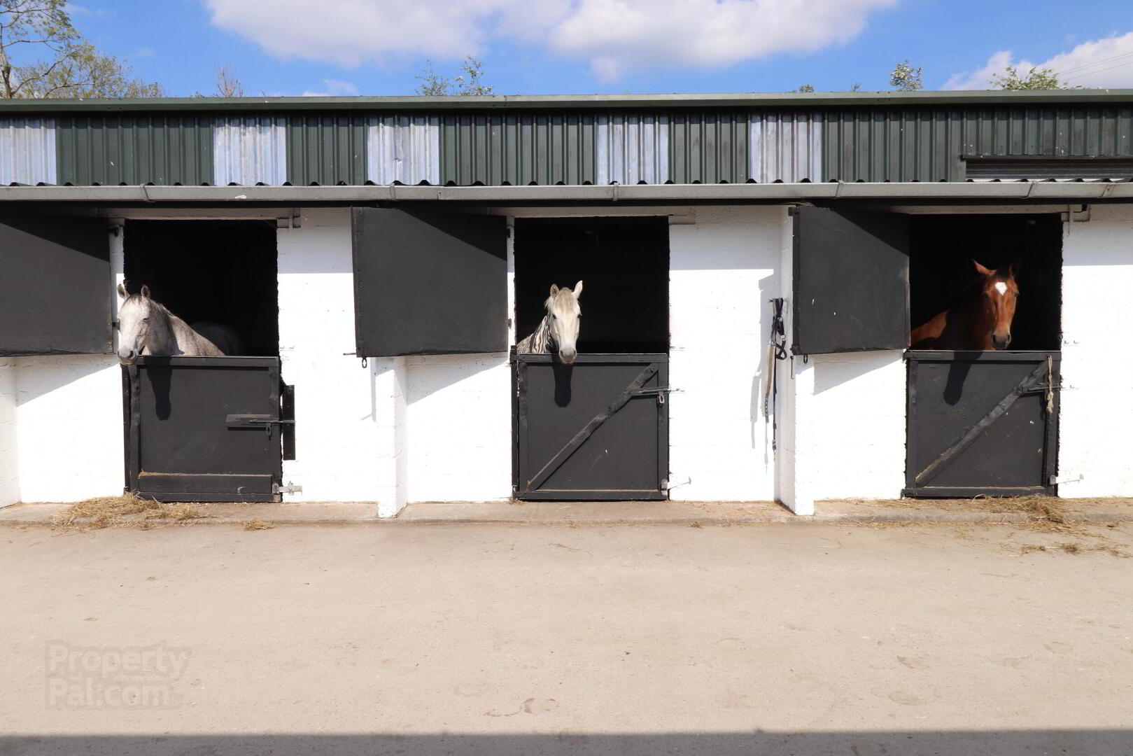 C.10 Ac & 27 Stables, Drumralla Stables 44 of 49