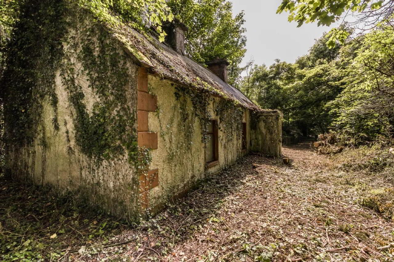 Leitrim 3 of 15