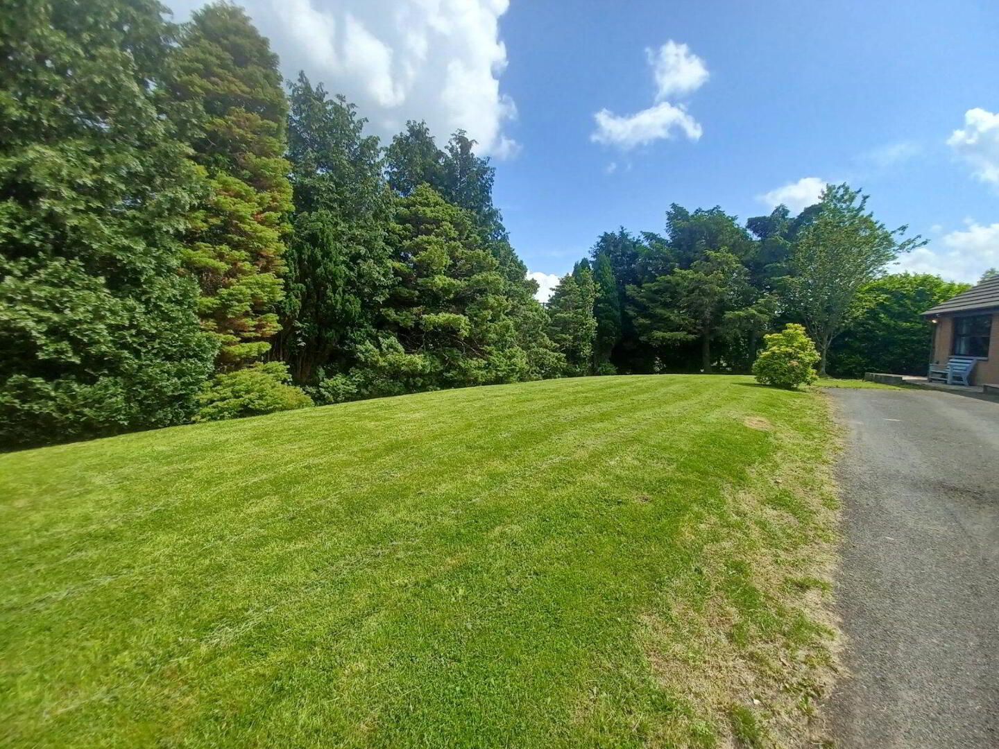 11 Bessfield Avenue 14 of 14