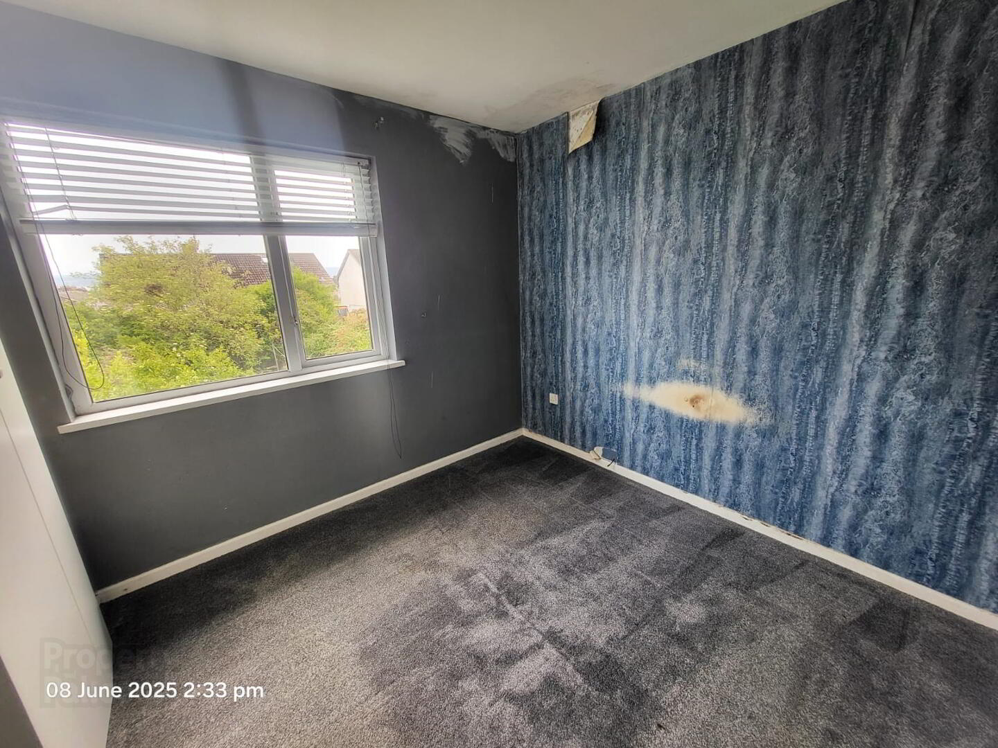 78 Glenkeen Drive 9 of 11