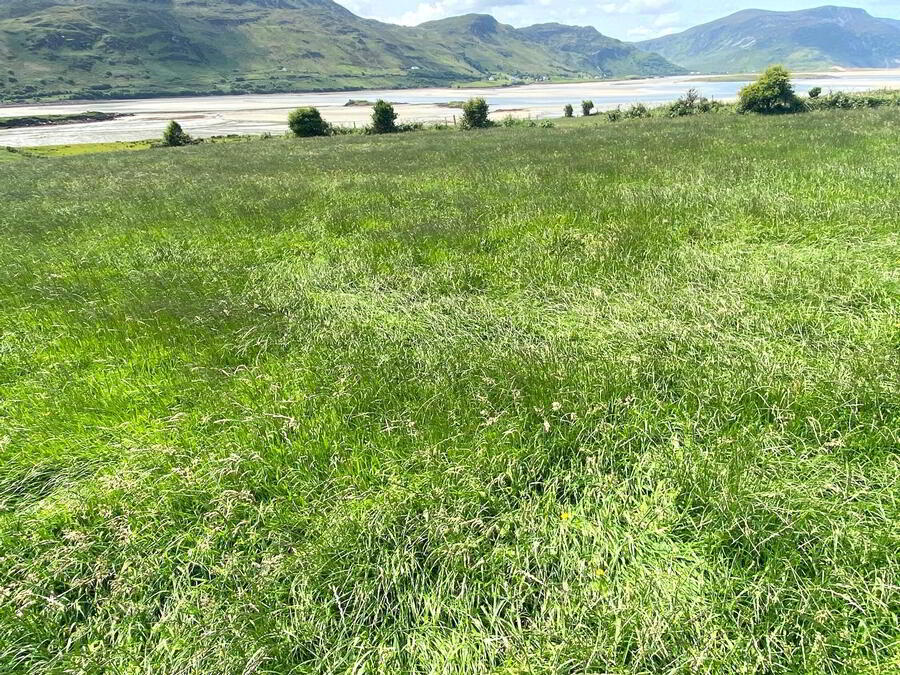 Loughros Point 2 of 6