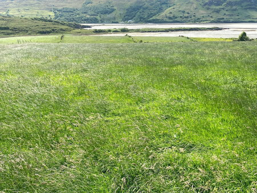 Loughros Point 3 of 6