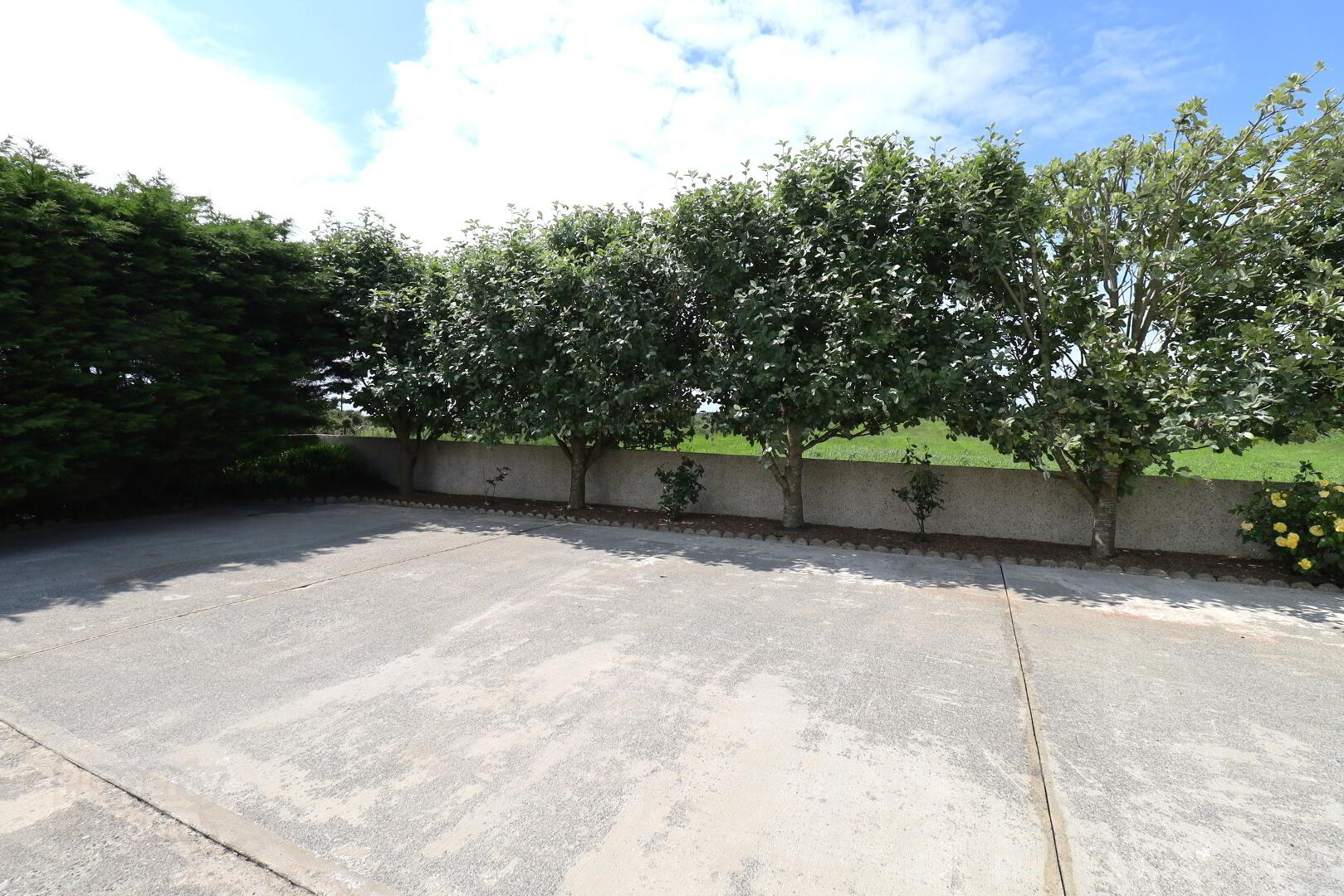 17a Leestone Road 38 of 42