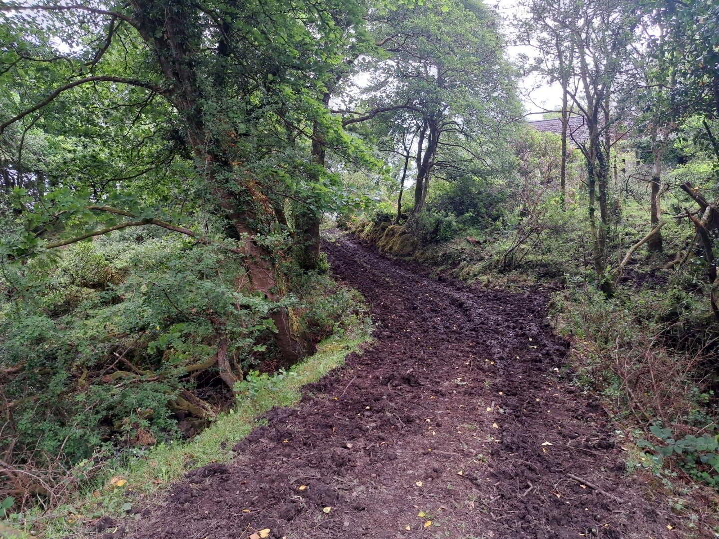 Tullynascreen 6 of 8