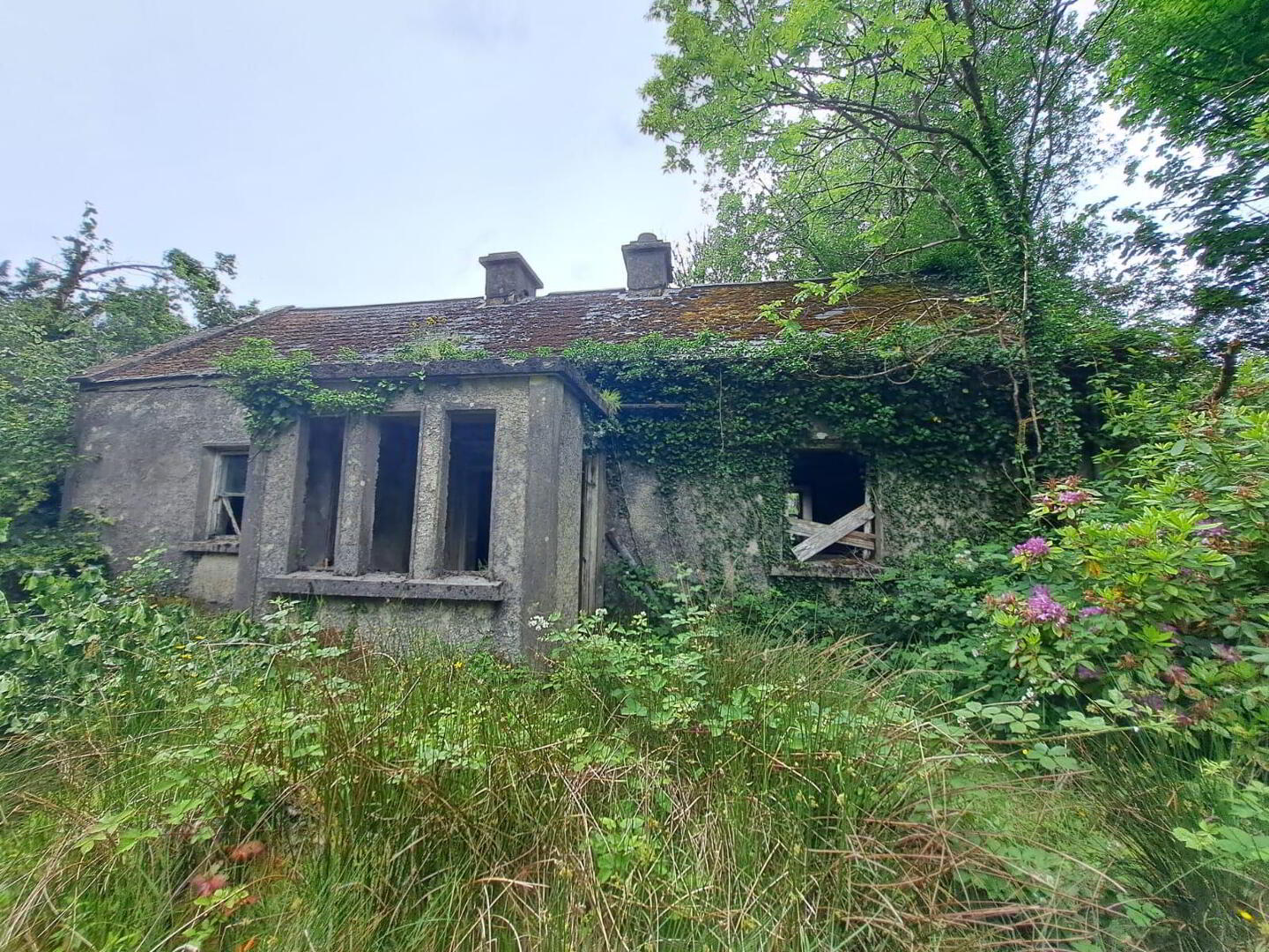 Tullynascreen 1 of 8