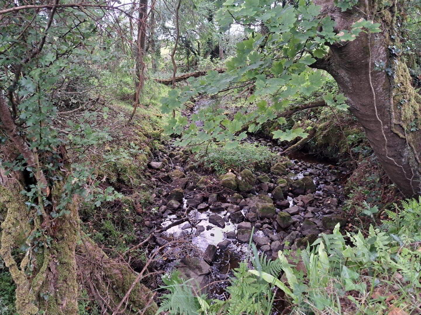 Tullynascreen 7 of 8