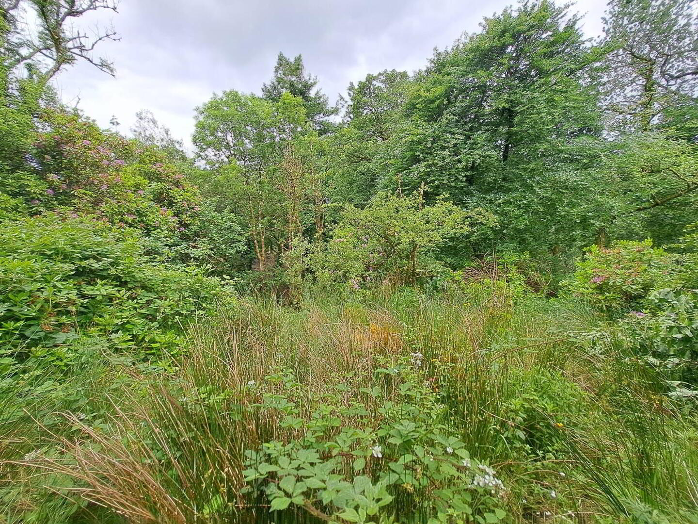 Tullynascreen 8 of 8