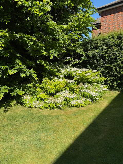 54 Woodvale Road 32 of 35