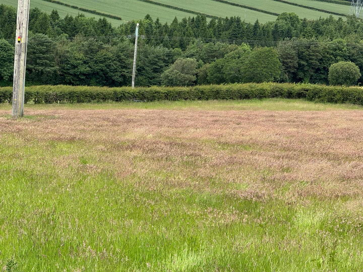 Land At, Tamnaherin Road 1 of 2