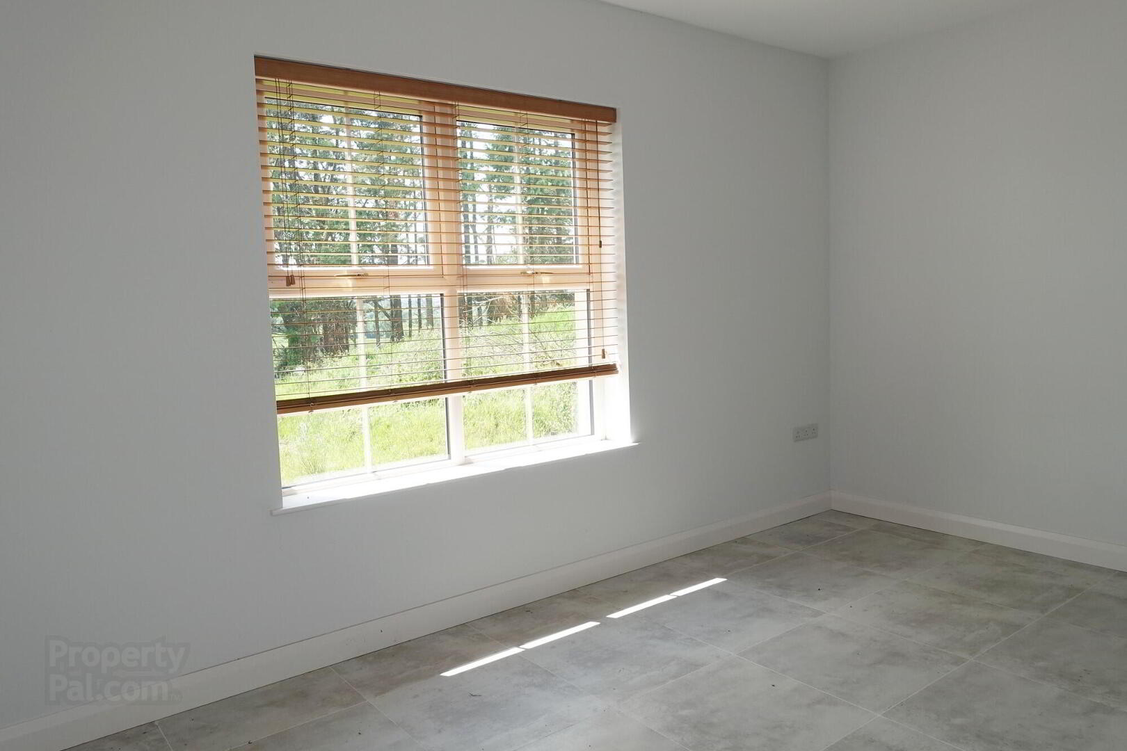 47 Salloon Road 4 of 24