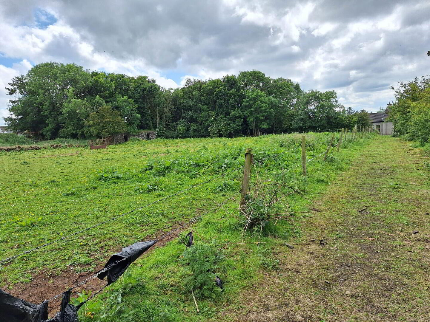 Site, Approx. 30m East Of, 45 Friary Road 6 of 22