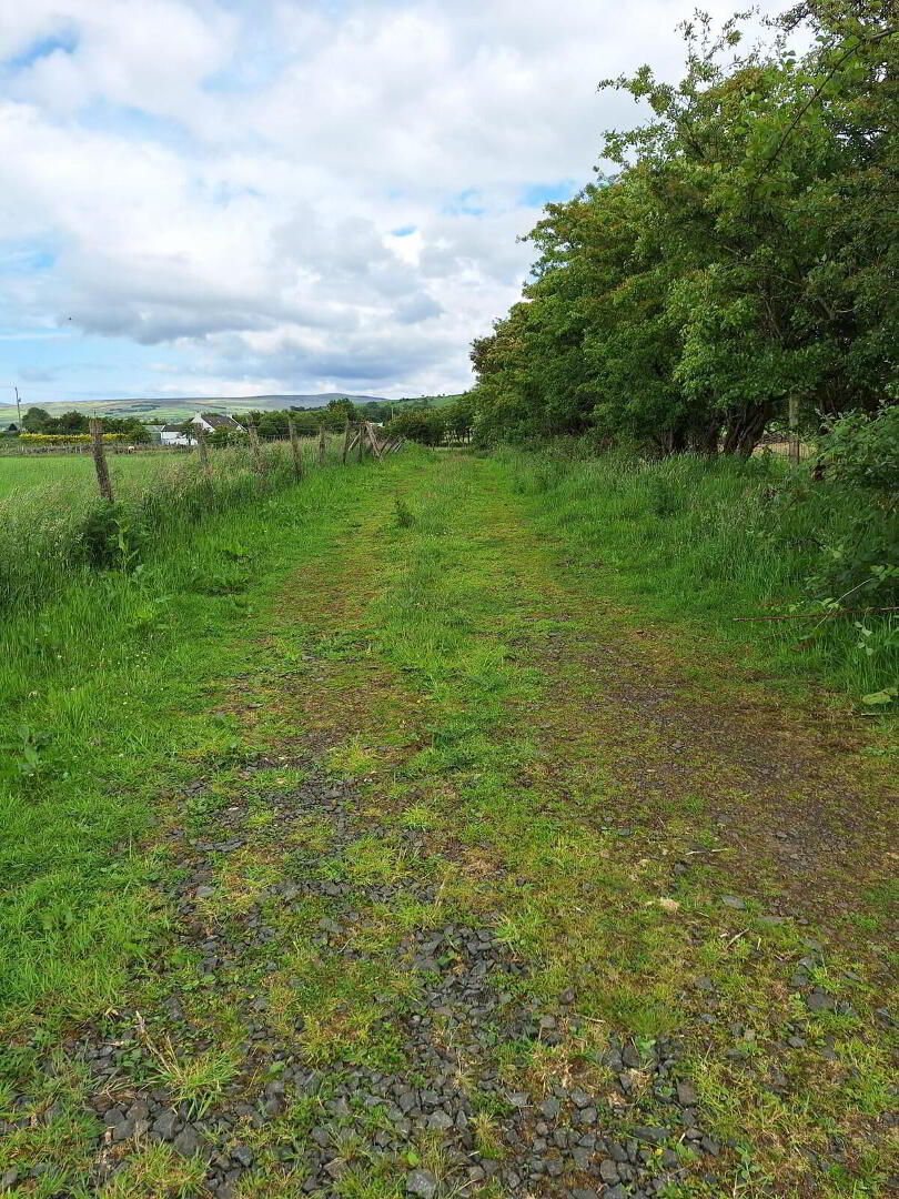 Site, Approx. 30m East Of, 45 Friary Road 5 of 22