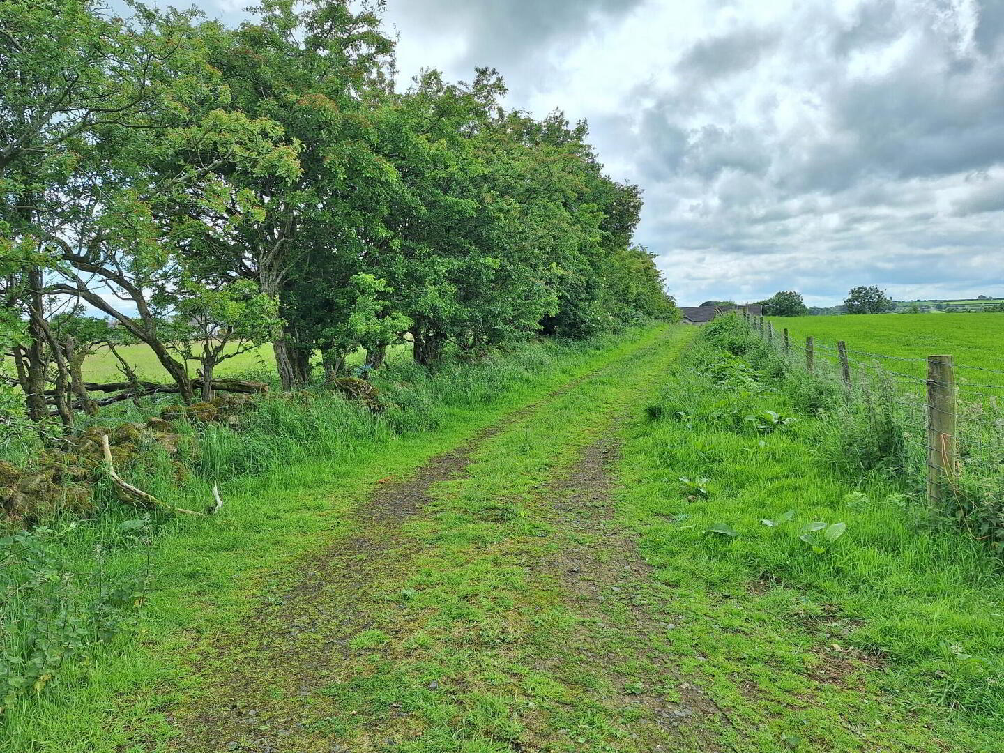 property description image