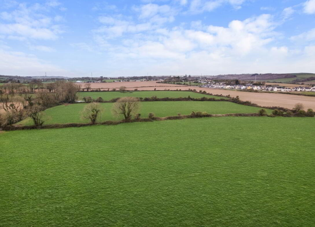 Kilboy 8 of 26