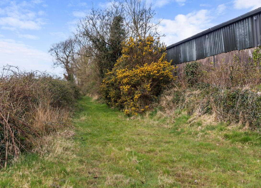 Kilboy 13 of 26