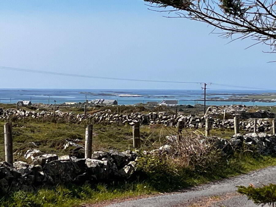 Clann Treasa 22 of 22