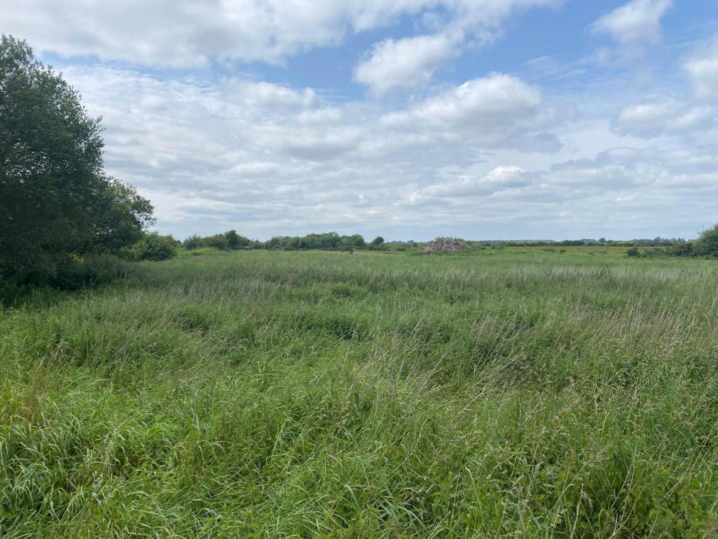 property description image