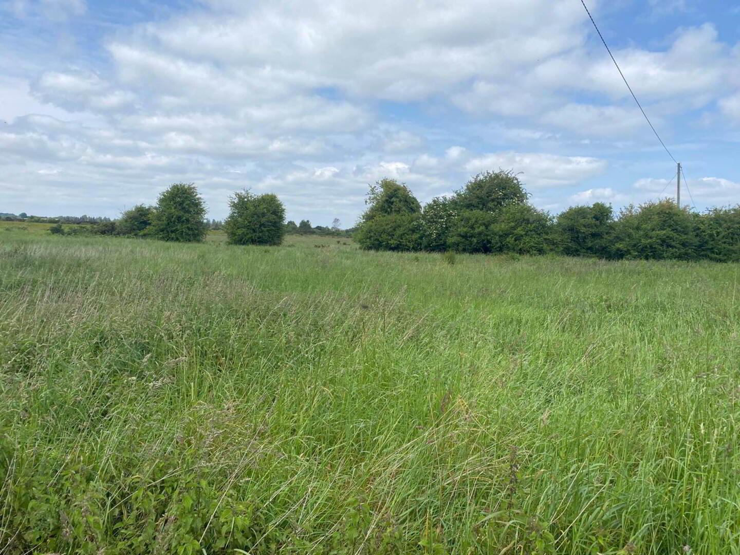 Clongowney 3 of 5