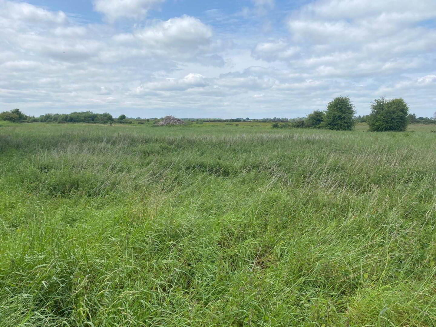 Clongowney 1 of 5