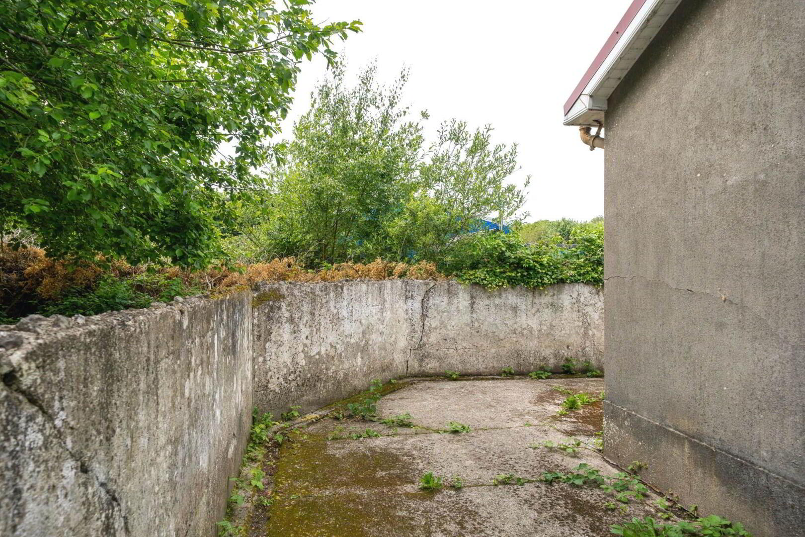 St Patricks Terrace 14 of 17