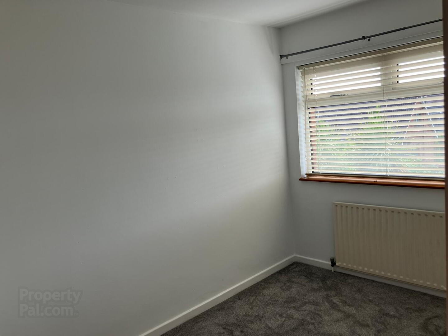 12 Sinclair Avenue 15 of 23
