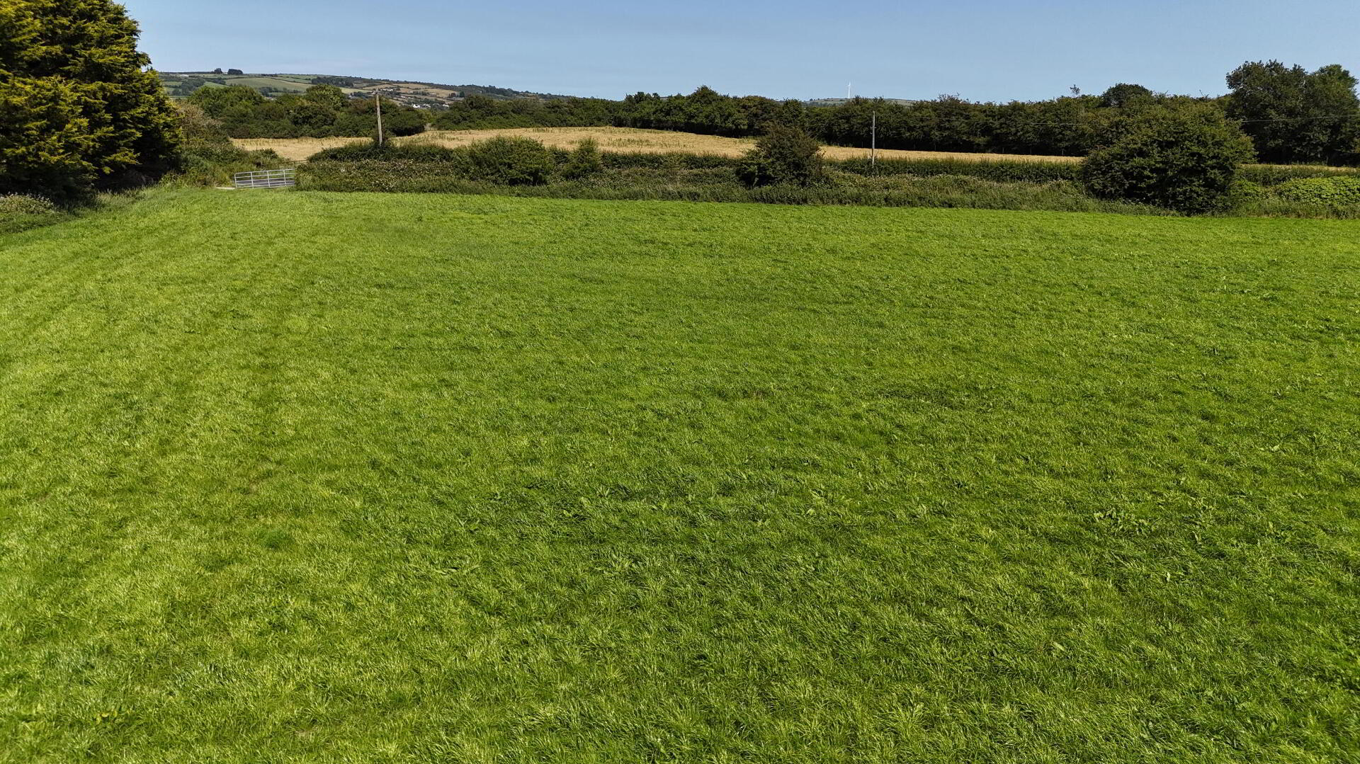 4 Acres At, Skeard 6 of 9