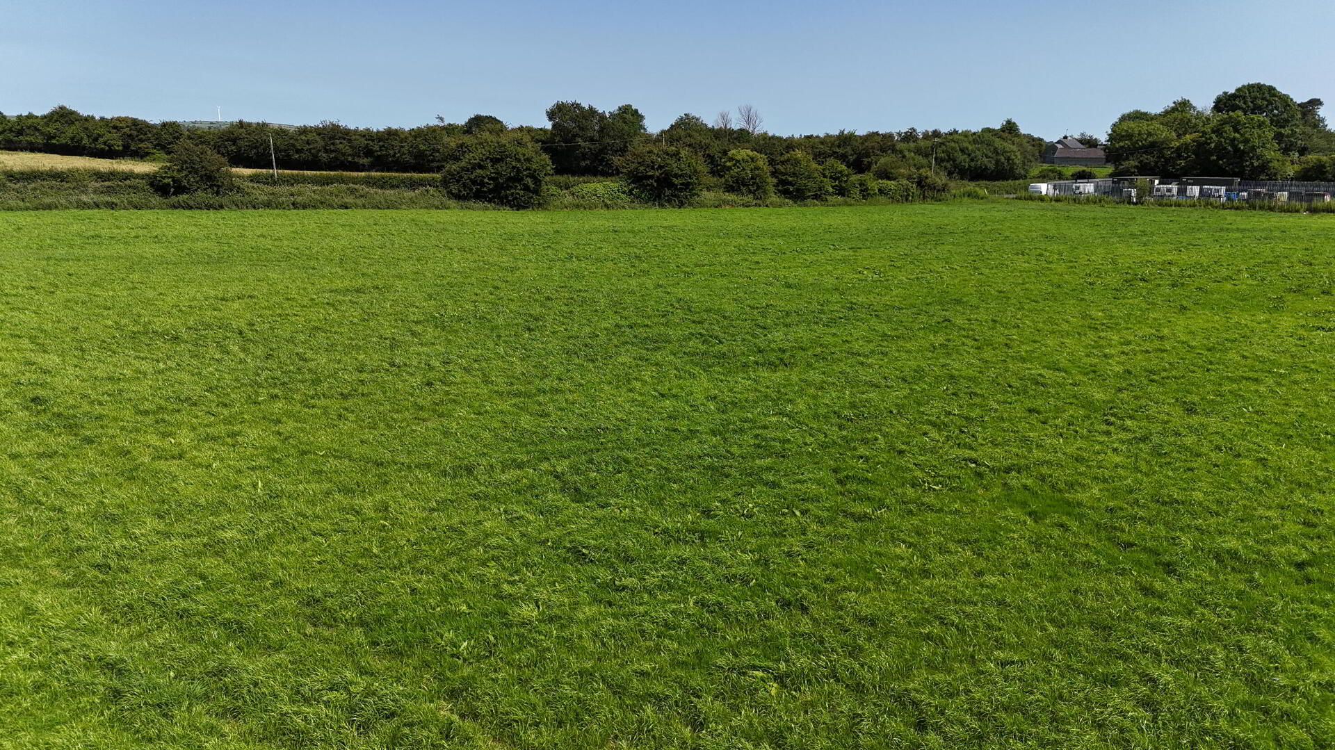 4 Acres At, Skeard 7 of 9