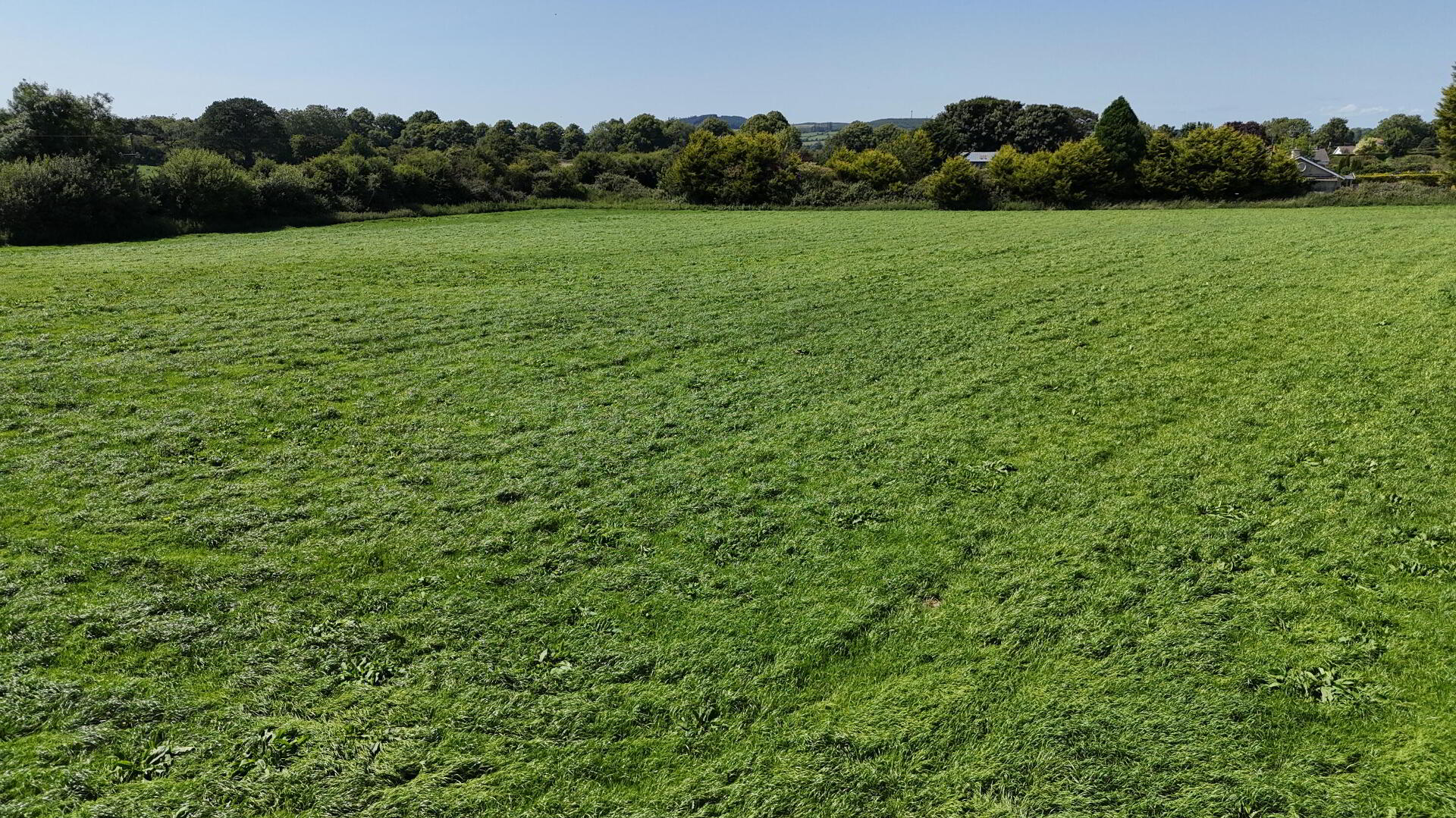 4 Acres At, Skeard 8 of 9