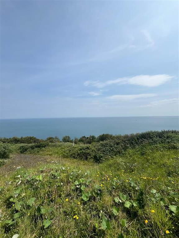 property description image