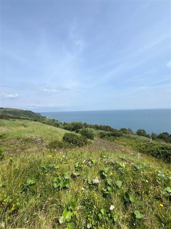 66 Gobbins Road 3 of 18