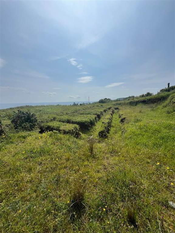 66 Gobbins Road 8 of 18