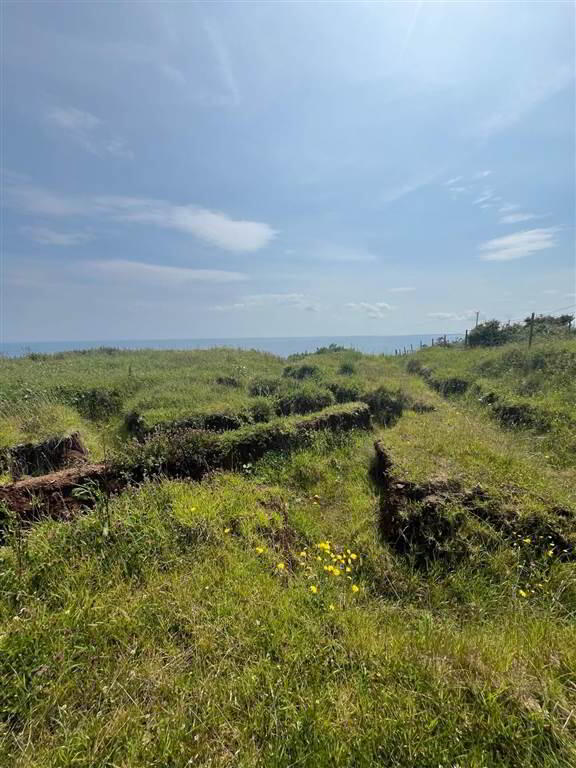 66 Gobbins Road 6 of 18