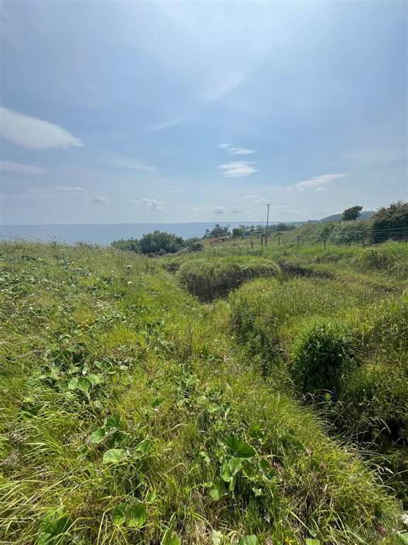 66 Gobbins Road 11 of 18