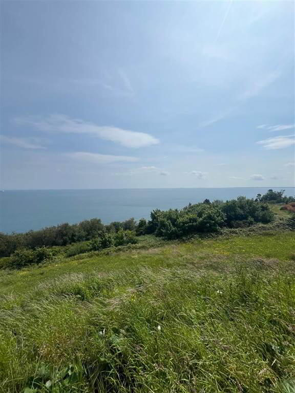 66 Gobbins Road 12 of 18