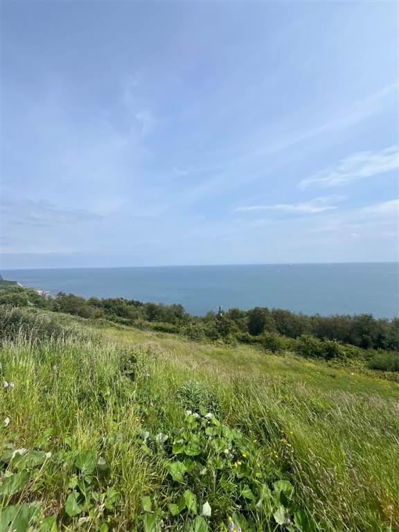 66 Gobbins Road 14 of 18