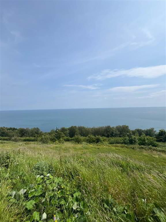 66 Gobbins Road 13 of 18