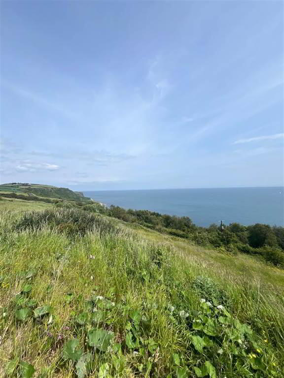 66 Gobbins Road 15 of 18