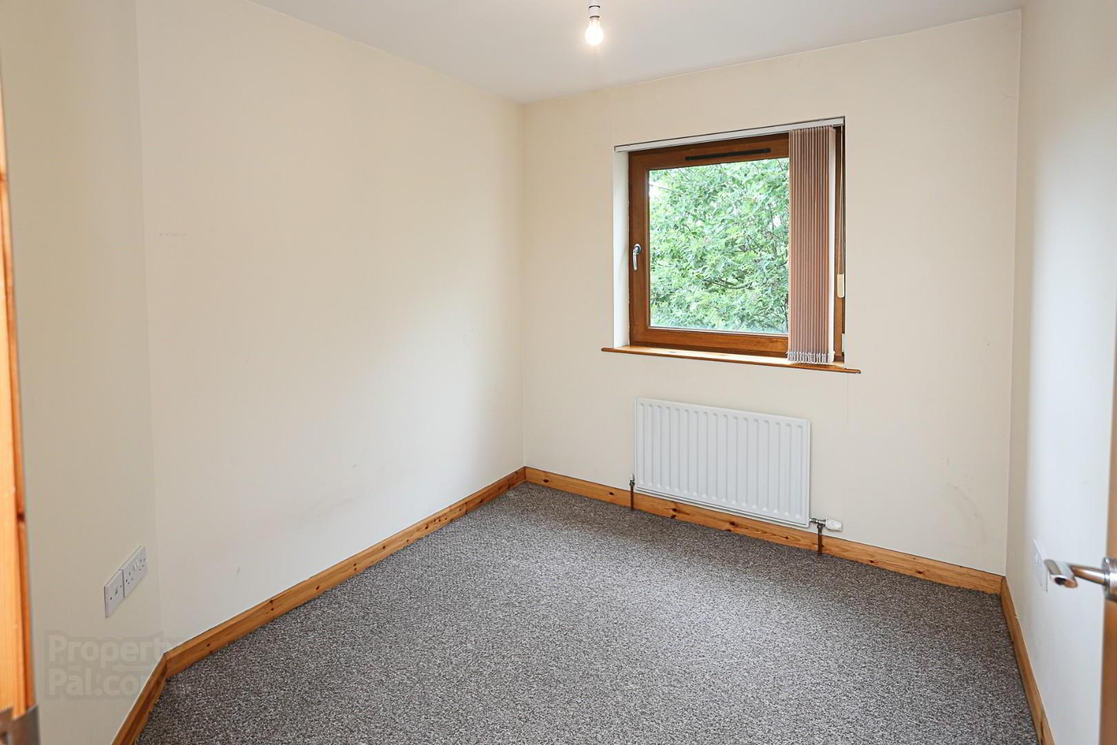 15 Shaftesbury Drive 8 of 12