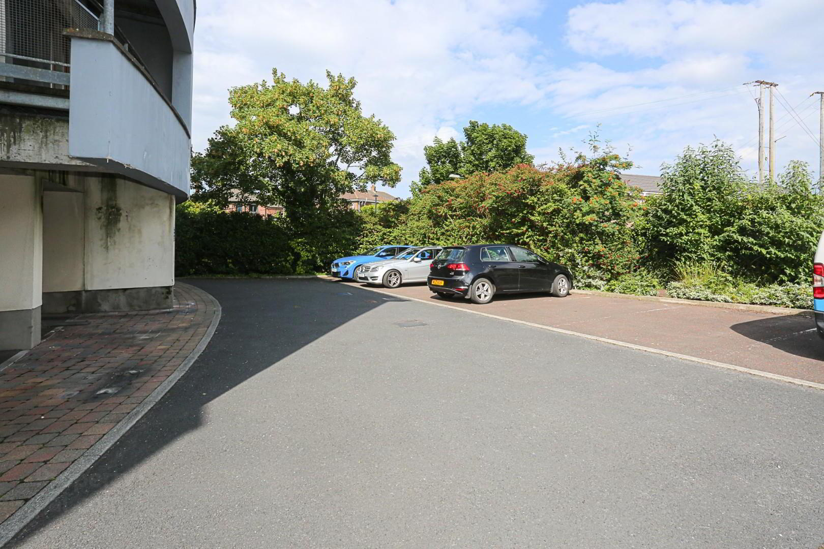 15 Shaftesbury Drive 12 of 12