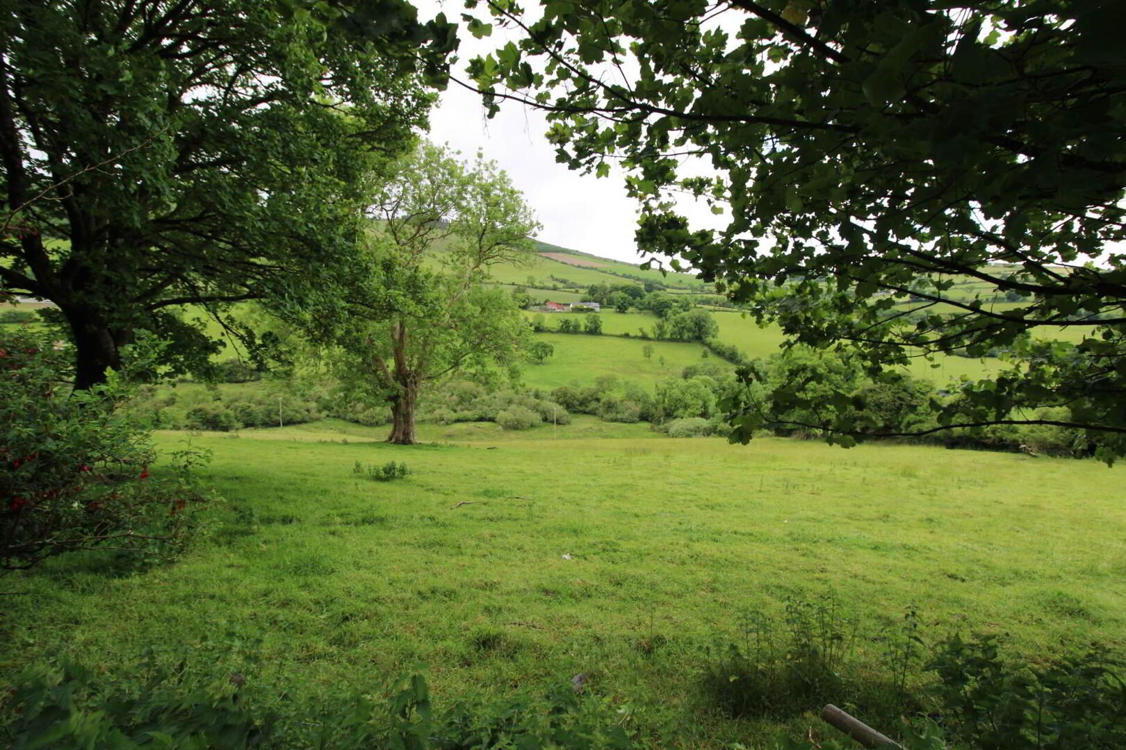 property description image