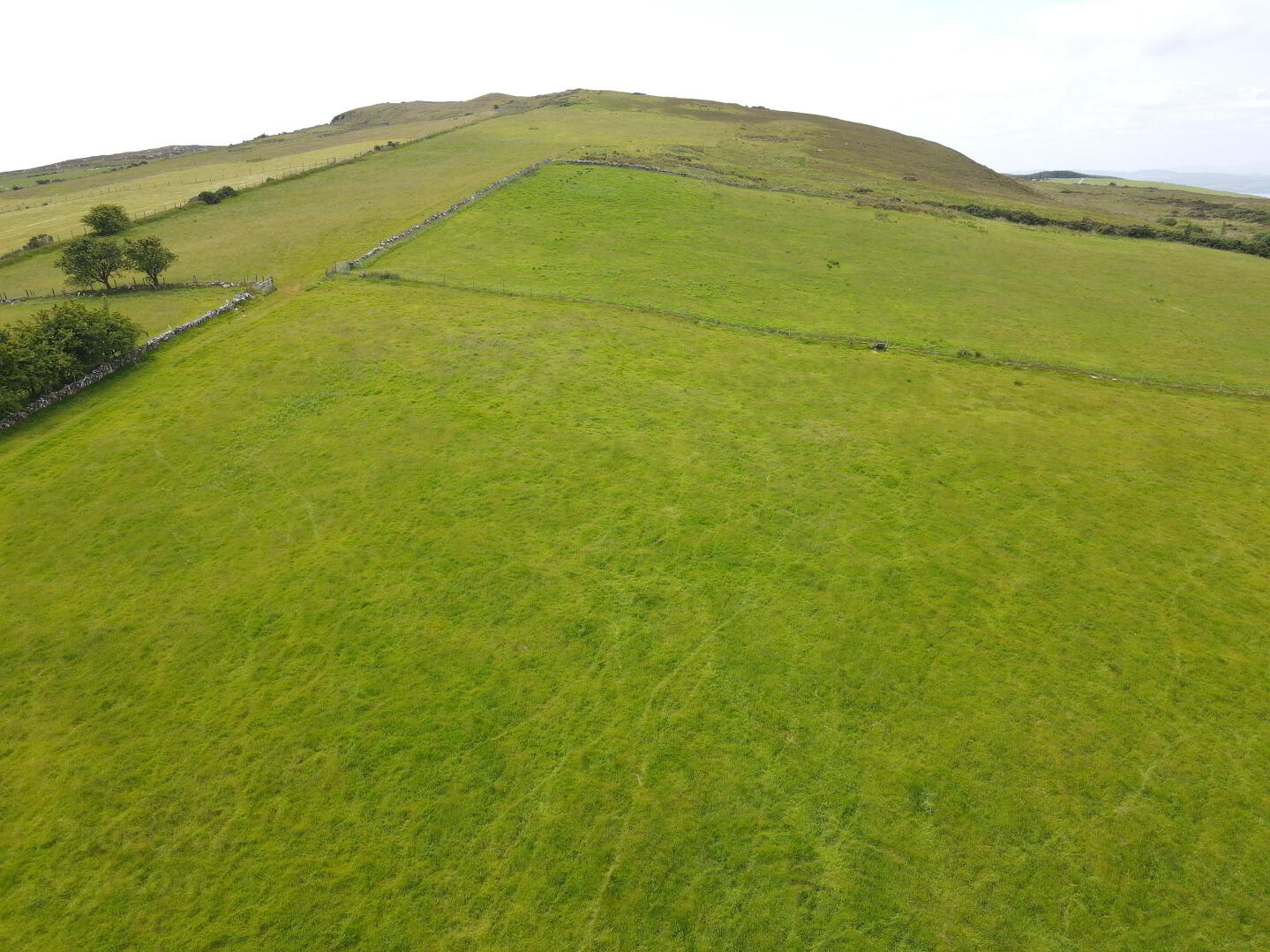 Carrowreagh 4 of 14