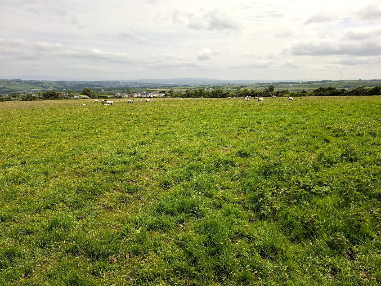 Carrowreagh 5 of 14
