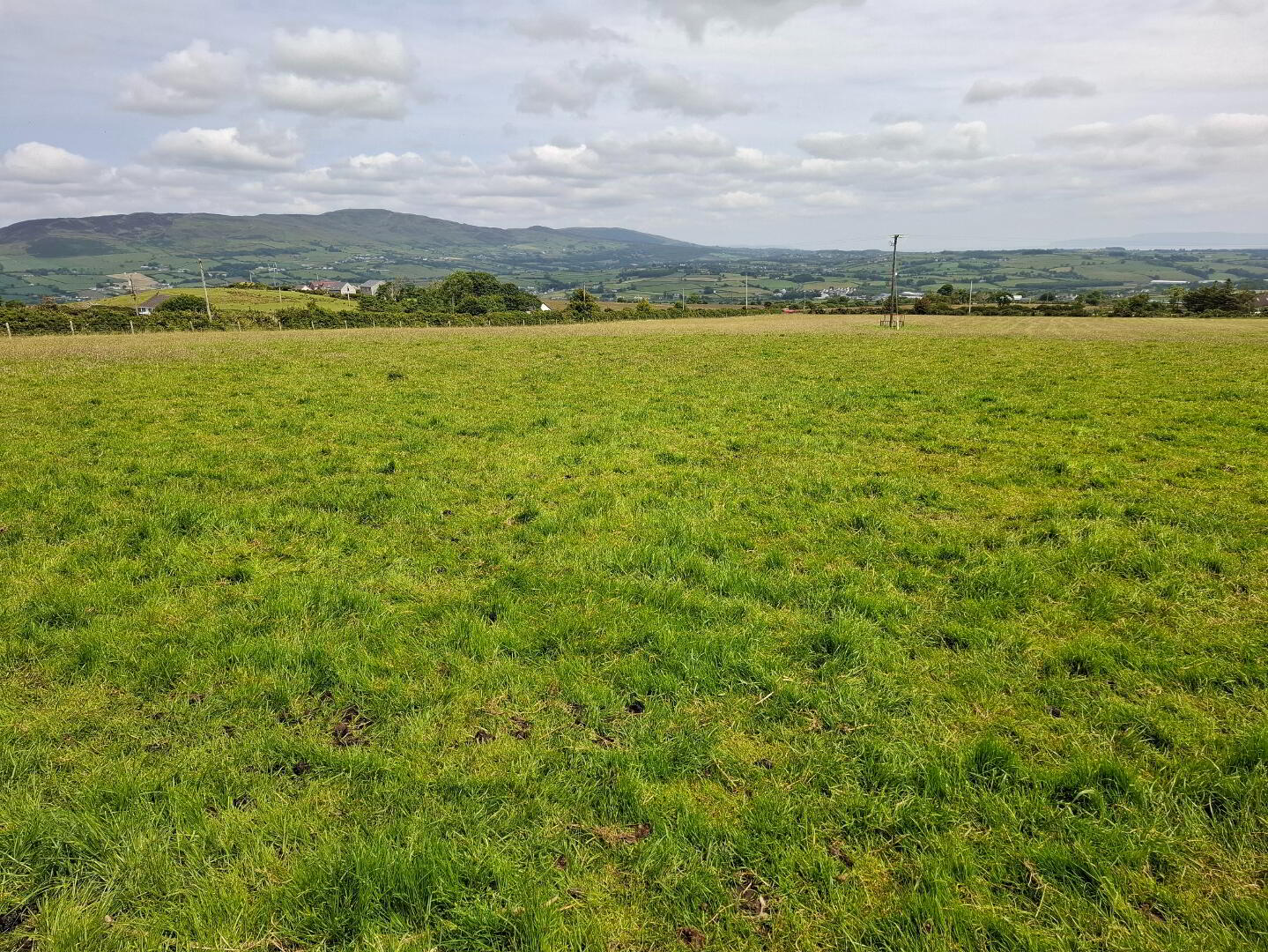 Carrowreagh 7 of 14